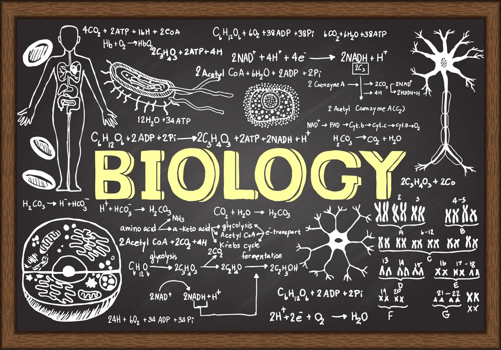 Illustration of Biology